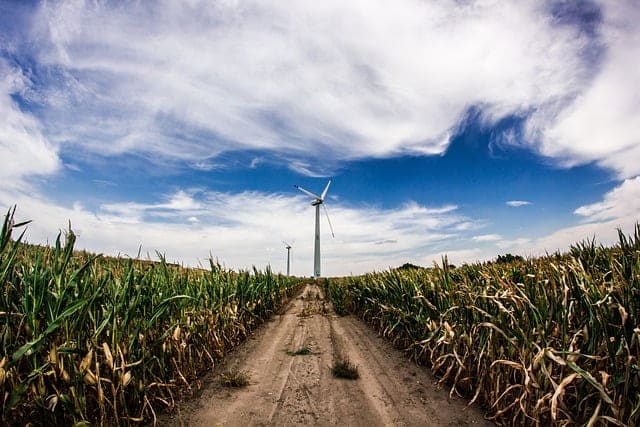 un chemin de terre traversant des champs de canne à sucre .semble se diriger vers une éolienne qui donne l impression de toucher les nuages au dessus d'un ciel bleu, dans la page A propos.