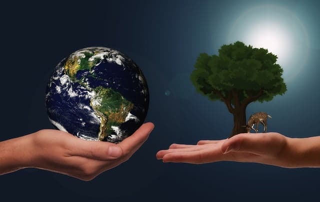 Deux mains ouvertes en regard tenant symboliquement une terre pour la paume de la main gauche et un arbre pou la main droite, dans la page À propos