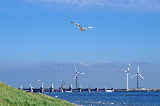 page Bienvenue Eoliennes pres de la mer avec une mouette volant dans un ciel bleu