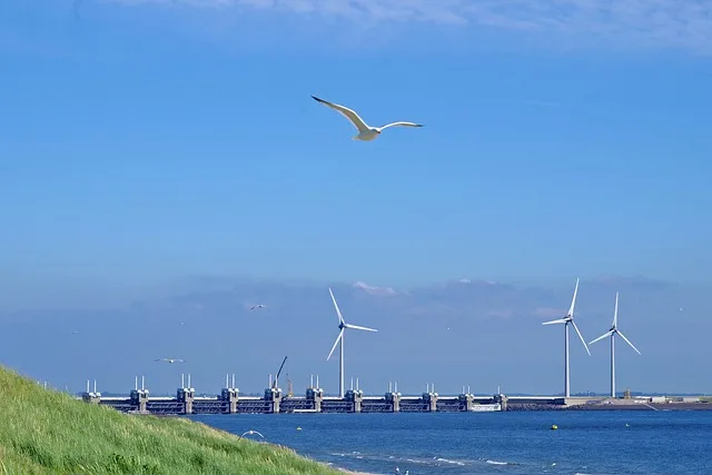 page Bienvenue Eoliennes pres de la mer avec une mouette volant dans un ciel bleu